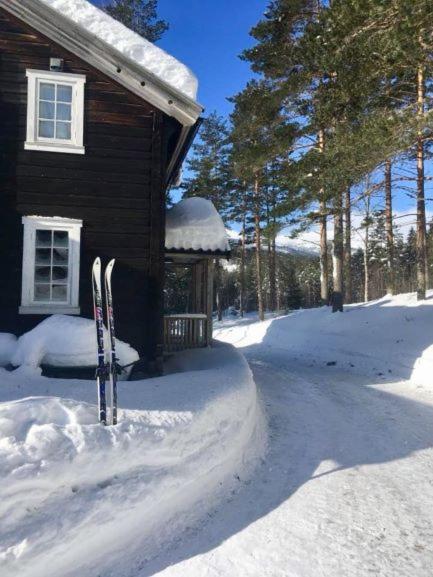 Breiva Gjestegaard Og Glamping Bo (Telemark) Luaran gambar
